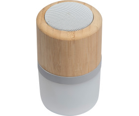 Bluetooth speaker Haarlem